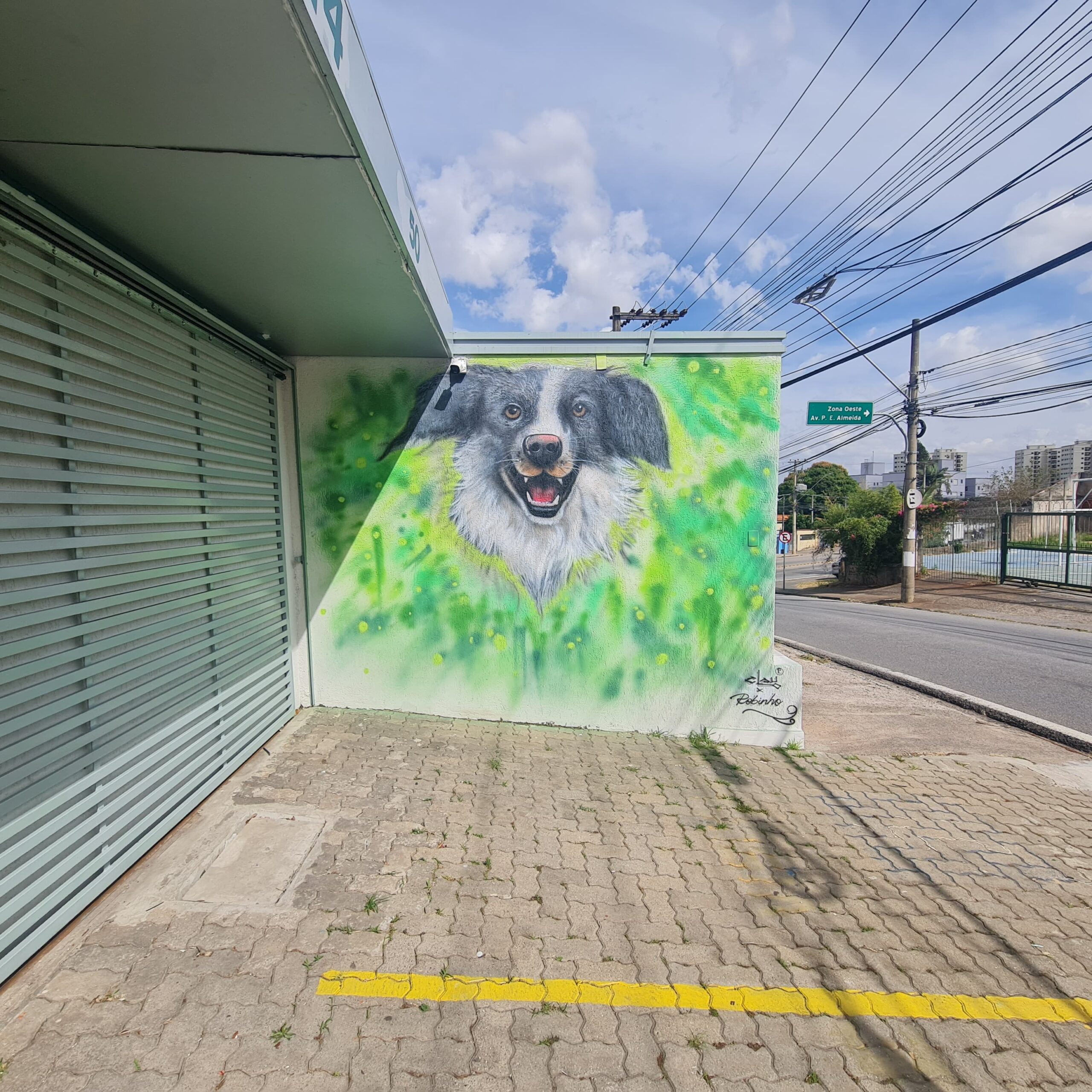 Atendimento veterinário na Alphavet Sorocaba